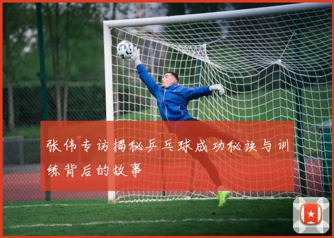 张伟专访揭秘乒乓球成功秘诀与训练背后的故事
