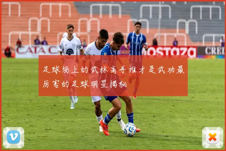 足球场上的武林高手谁才是武功最厉害的足球明星揭秘