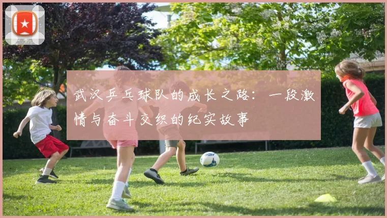 武汉乒乓球队的成长之路：一段激情与奋斗交织的纪实故事