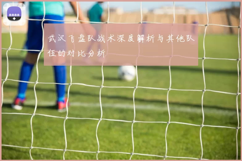 武汉飞盘队战术深度解析与其他队伍的对比分析