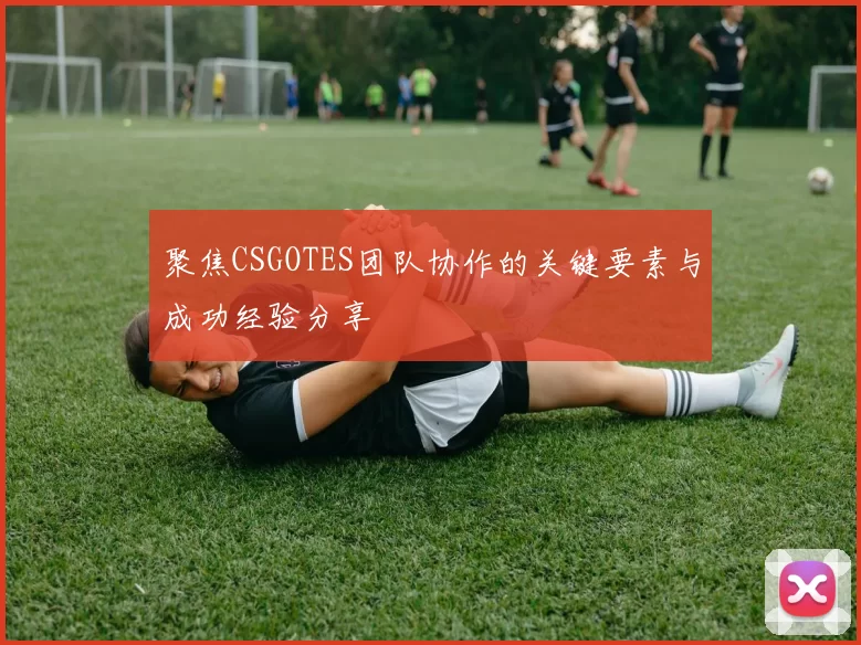 聚焦CSGOTES团队协作的关键要素与成功经验分享