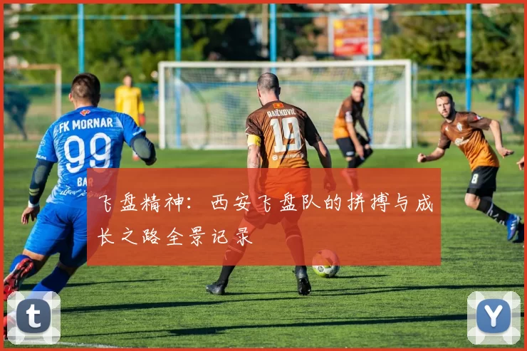 飞盘精神：西安飞盘队的拼搏与成长之路全景记录
