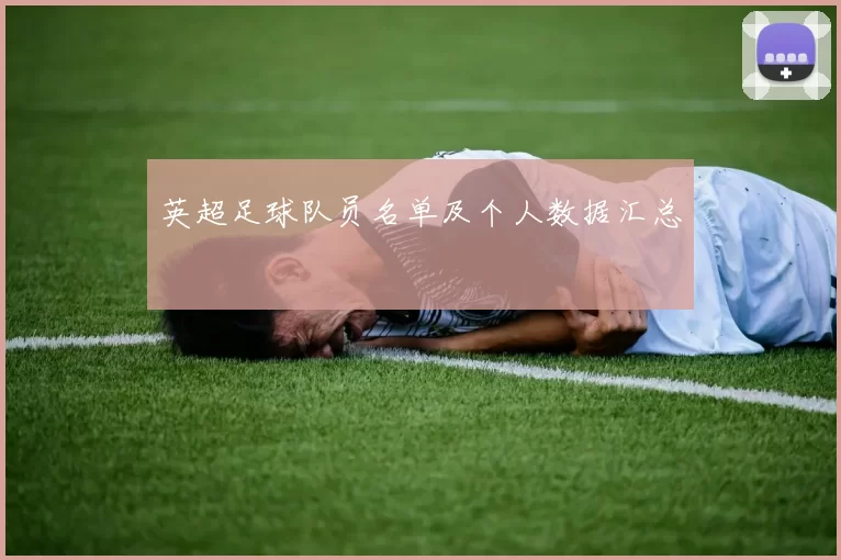 英超足球队员名单及个人数据汇总