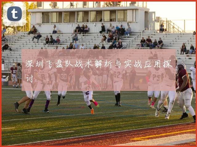 深圳飞盘队战术解析与实战应用探讨