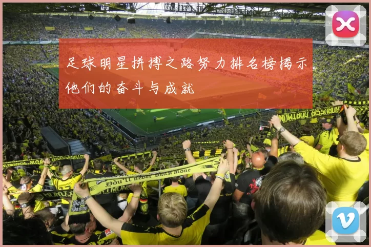 足球明星拼搏之路努力排名榜揭示他们的奋斗与成就