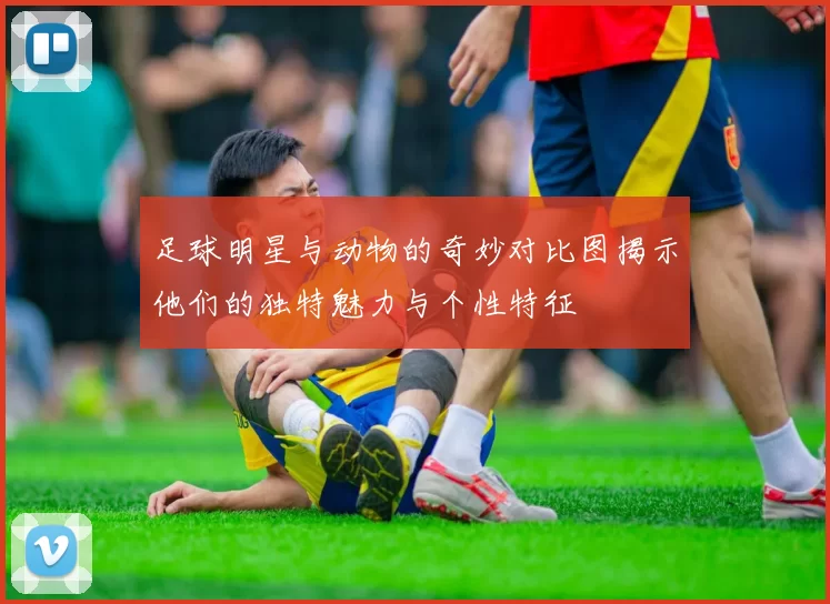 足球明星与动物的奇妙对比图揭示他们的独特魅力与个性特征