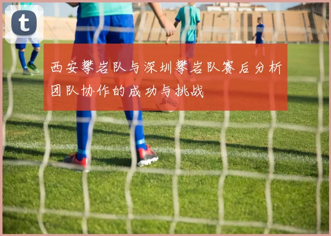 西安攀岩队与深圳攀岩队赛后分析团队协作的成功与挑战