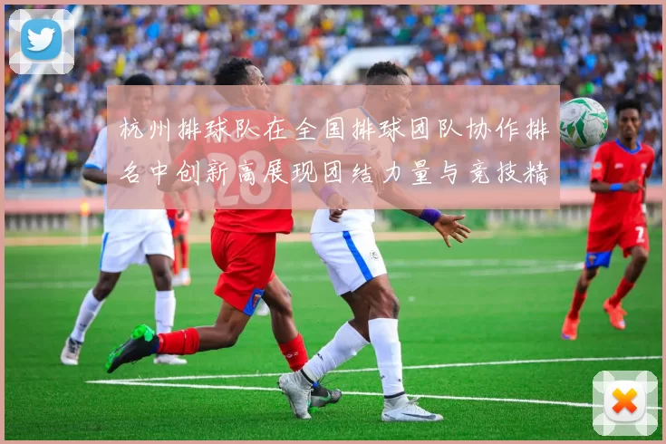 杭州排球队在全国排球团队协作排名中创新高展现团结力量与竞技精神