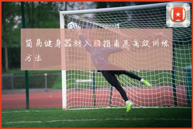简易健身器材入门指南及高效训练方法