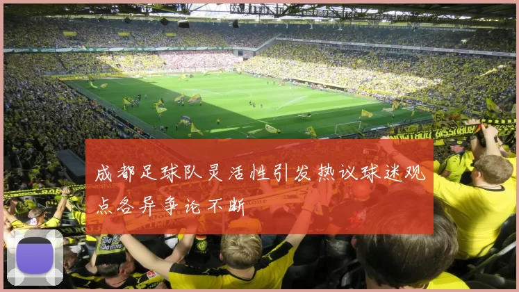成都足球队灵活性引发热议球迷观点各异争论不断