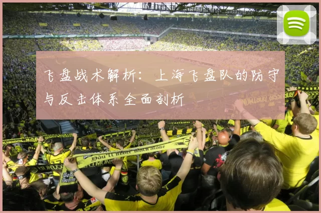 飞盘战术解析：上海飞盘队的防守与反击体系全面剖析