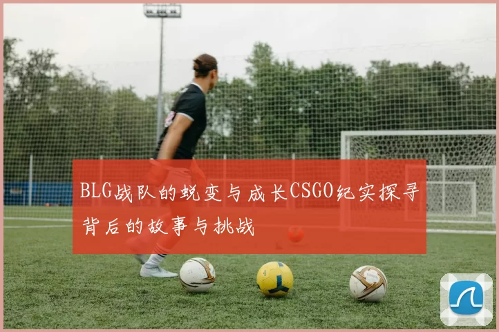 BLG战队的蜕变与成长CSGO纪实探寻背后的故事与挑战